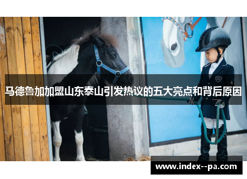 马德鲁加加盟山东泰山引发热议的五大亮点和背后原因