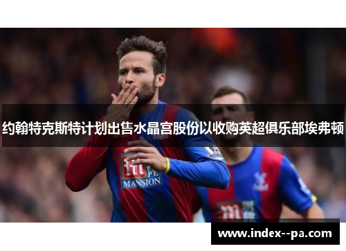 约翰特克斯特计划出售水晶宫股份以收购英超俱乐部埃弗顿